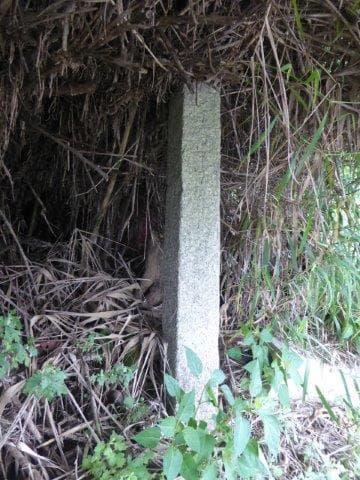 石柱